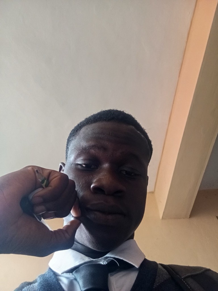Nsude Uchechukwu David (King David), founder of Roylithia Scribe